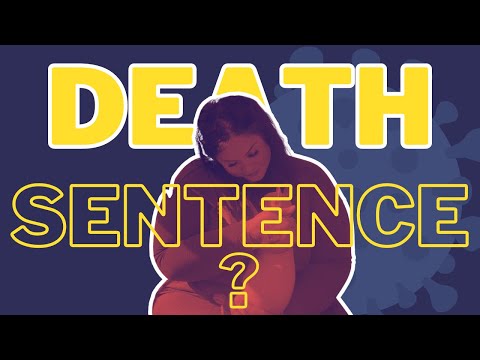 Feline Distemper: Our story of Surviving one of the Deadliest cat viruses