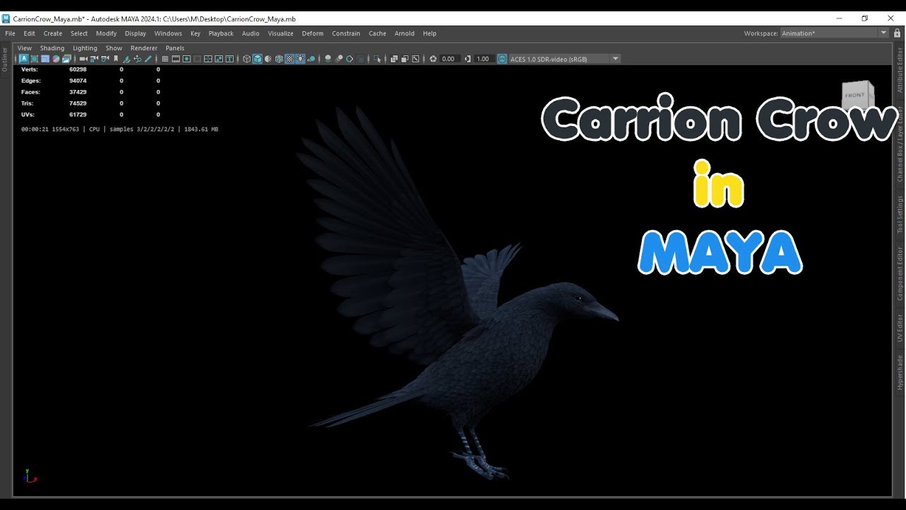 Corvo Carniceiro Animado Realista Modelo 3D
