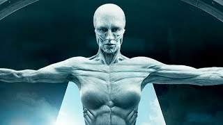 A Real Westworld Is Coming