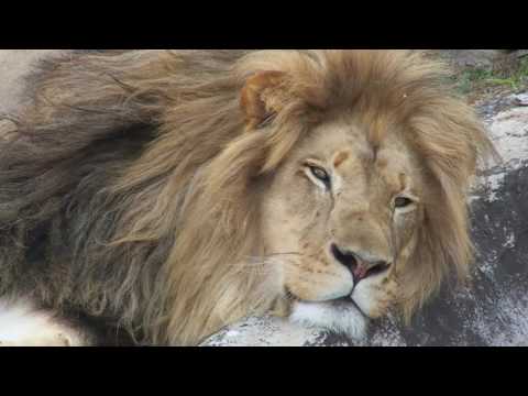 Dorp van die Jaar 2017: Finalis - Vanderbijlpark