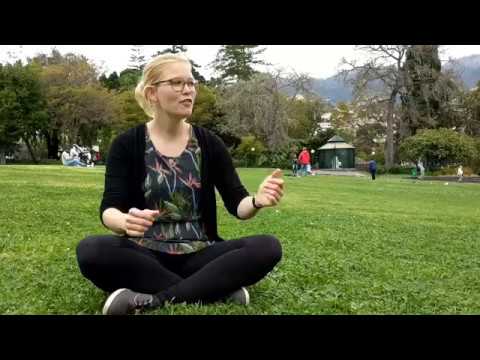 Mein gutes Beispiel - Spiegelneuronen