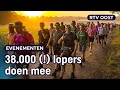 Wat een prestatie! Overijsselaars finishen bij Nijmeegse Vierdaagse | RTV Oost