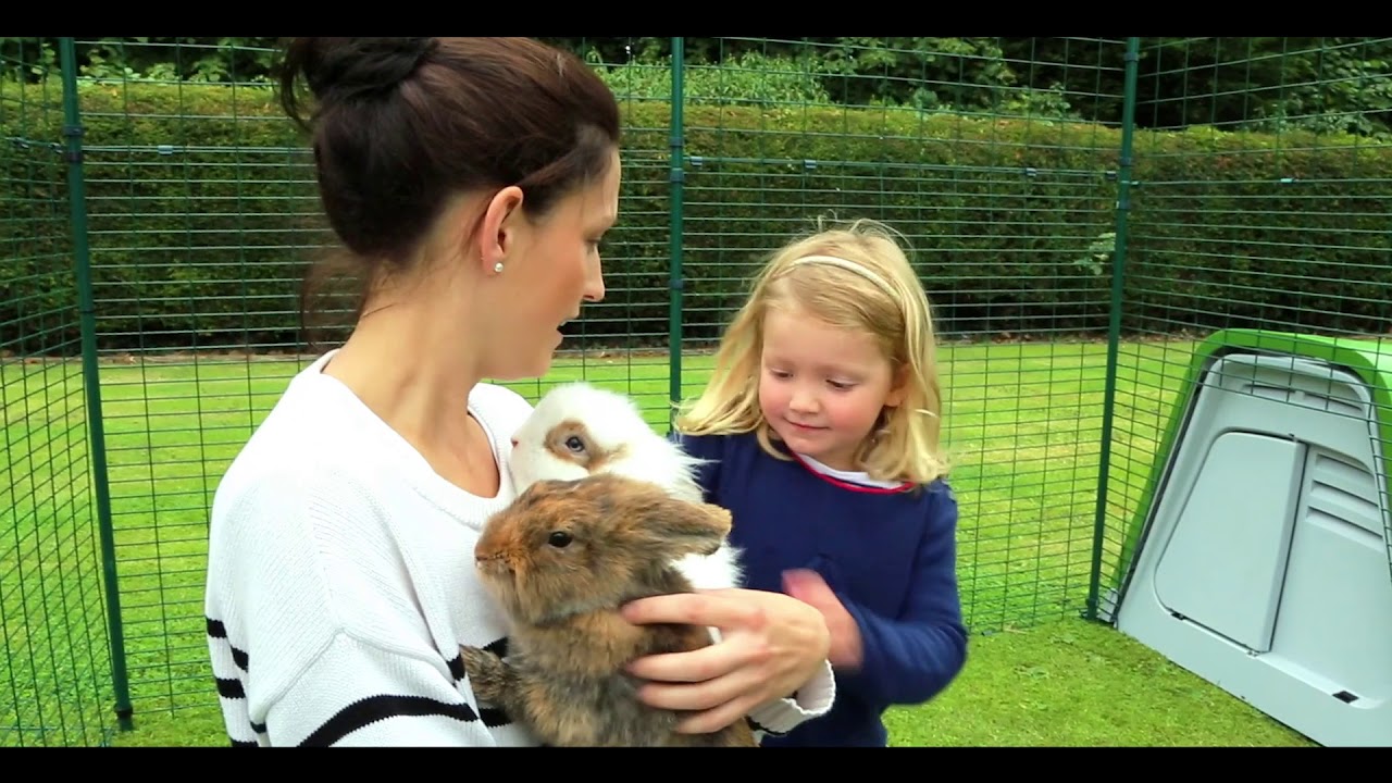 Wybieg dla Królików Walk-In|Polska