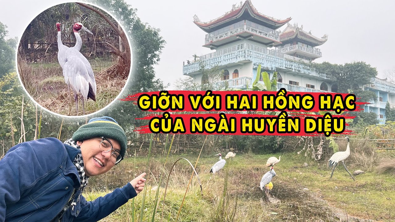 Hồng Hạc Từ Trời Bay Về Việt Nam Quốc Tự Nepal
