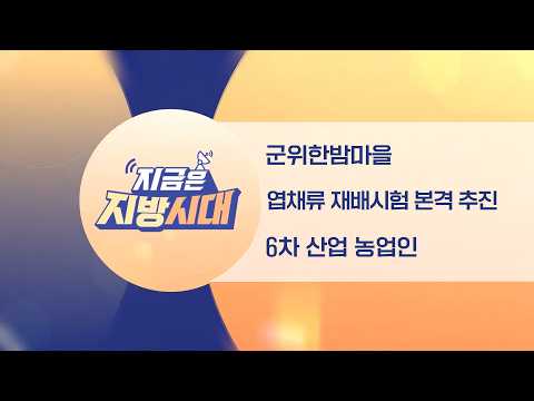 [TBC지방시대] 군위한밤마을, 엽채류재배시험, 6차산업농업인