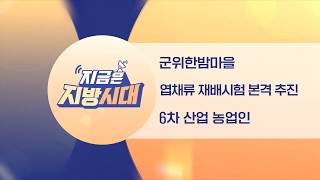[TBC지방시대] 군위한밤마을, 엽채류재배시험, 6차산업농업인