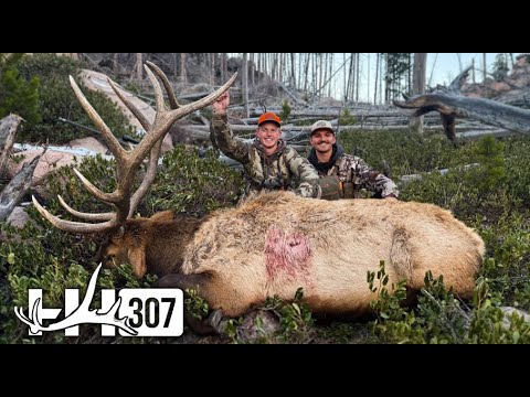 CRAZY Wyoming Bull Elk Hunt | Bulls EVERYWHERE! | 2025