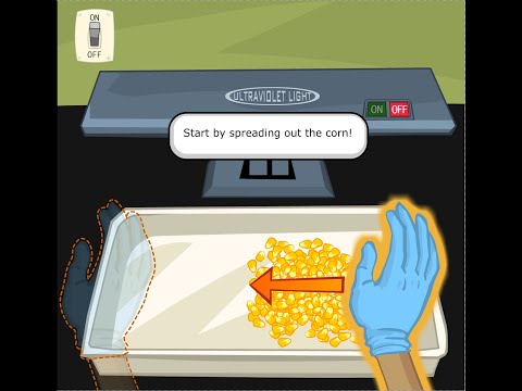 Part of a video titled Testing for Corn Mold - YouTube