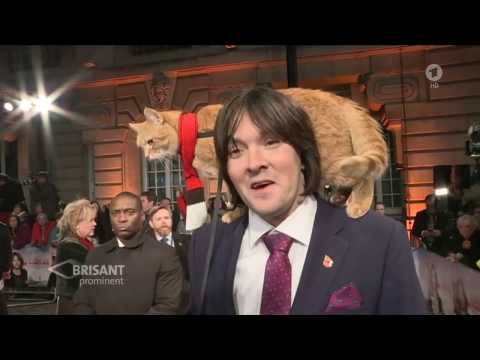 Bob, der Streuner (04.11.2016 ARD-Brisant)