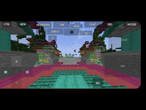 Insane MINECRAFT SMP with LIFESTEAL PVP!