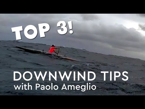 Top 3 Downwinding Tips with Paolo Ameglio, plus helpful info about paddle training and Paddle Ninja