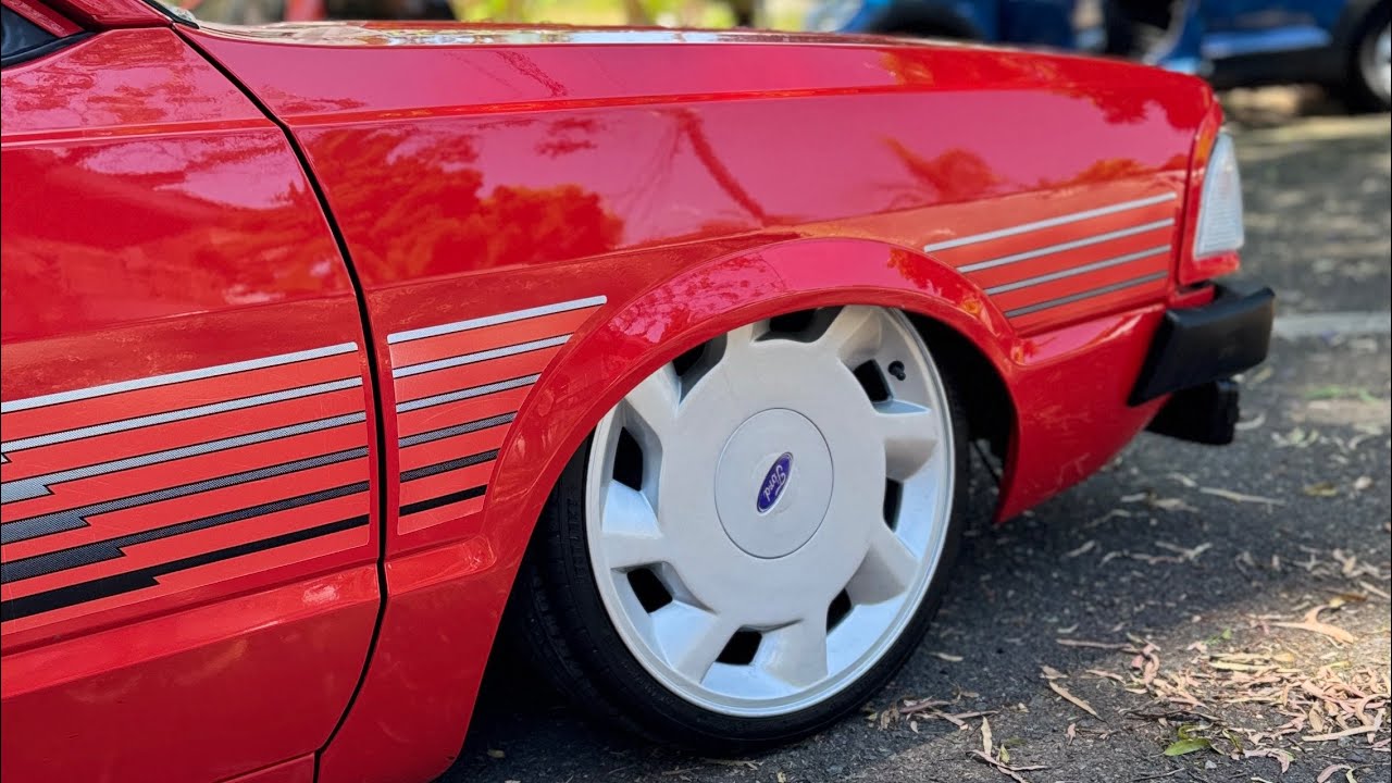 FOI DECIDIDO, AGORA É COM VOCÊ