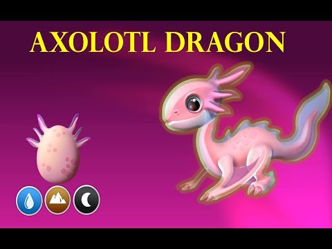 New weekly Axolotl Dragon || Dragon Mania Legends |