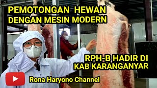 Download lagu Begini  Pemotongan Hewan (RPH-B) Dengan Mesin Modern di Karanganyar mp3