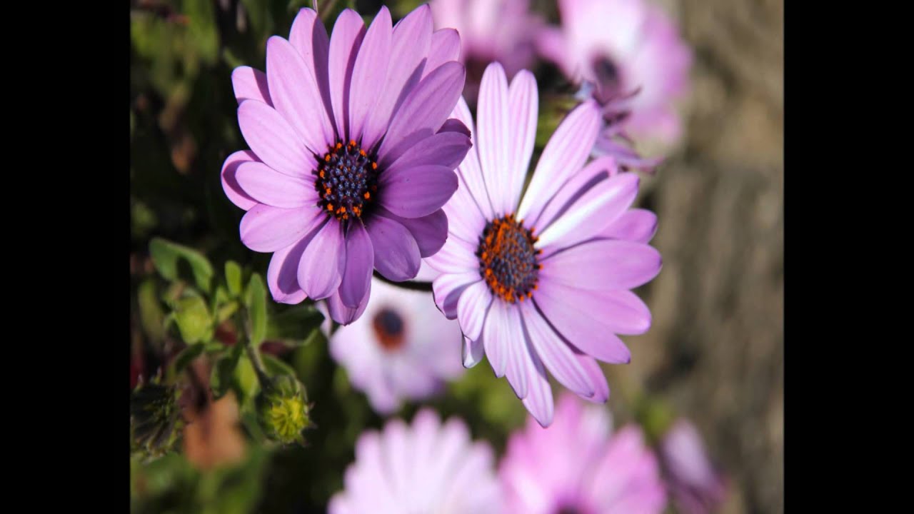 Watch video Bruce Springsteen - When You Need Me Now Bruce Springsteen - When You Need Me