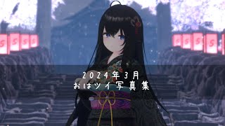 おはようツイートの写真まとめ　2024年3月　【VRChat/月奏雪】 #VRChat #VRC #vtuber