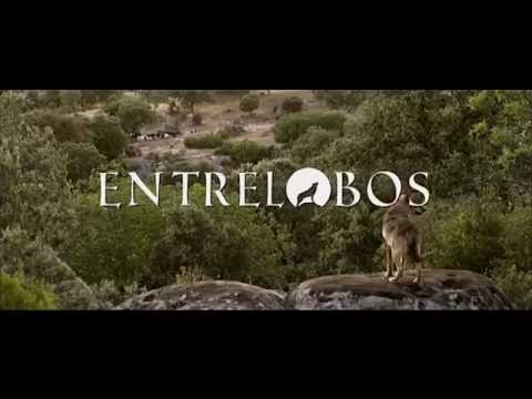 Entrelobos Trailer