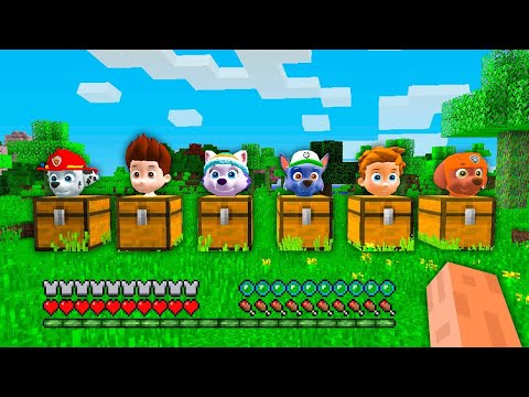 What's INSIDE the CHEST PAW PATROL RYDER MARSHALL ALEX ROCKY ZUMA EVEREST in Minecraft ?