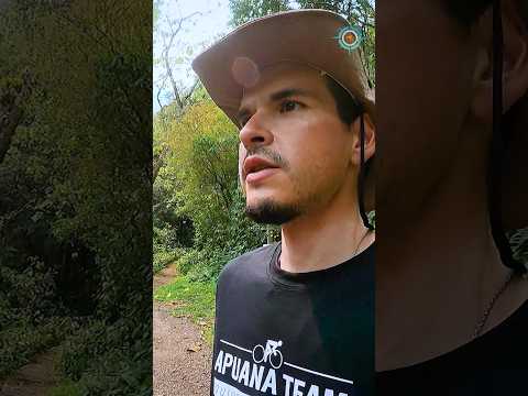 🌄 Assista Novamente: Diário de Bordo - Três Forquilhas e Três Cachoeiras! 🎬