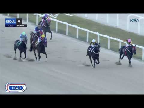 (Seoul) 2022.10.23 R9