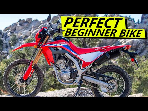 crf 300l honda - Image 2