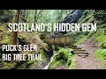 Scotlands Hidden Gem | Exploring Pucks Glen & Big Tree Forest Trail | Low Level Hiking