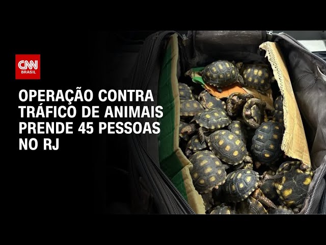 Polícia Civil faz operação contra tráfico de animais silvestres no RJ | BASTIDORES CNN