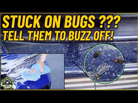Is Your Ride Covered In Bug Guts? Remove Them Scratch-Free With This Easy Method! - Chemical Guys