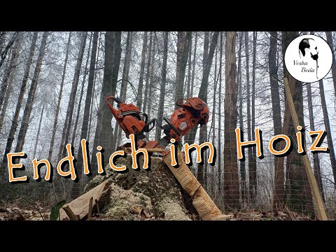 Brennholz 2025 - Totalschaden - Tajfun Seilwinde ausgefallen