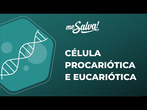 Cytology – Prokaryotic Cells vs. Eukaryotic Cells - Basic Biology - Me Salva! Health