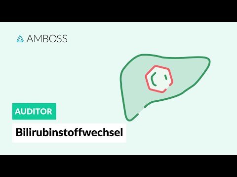 Der Bilirubinstoffwechsel - AMBOSS Auditor