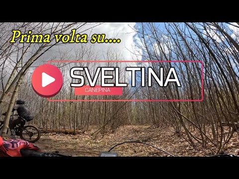 SVELTINA (CHE VERGOGNA!) - Faggeta Enduro - Giant Reign  E+2 Gopro Hero 11 HDR