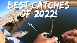 Best Fishing Moments of 2022! | CA Aqueduct Striper Fishing | Iu Mien Fishing