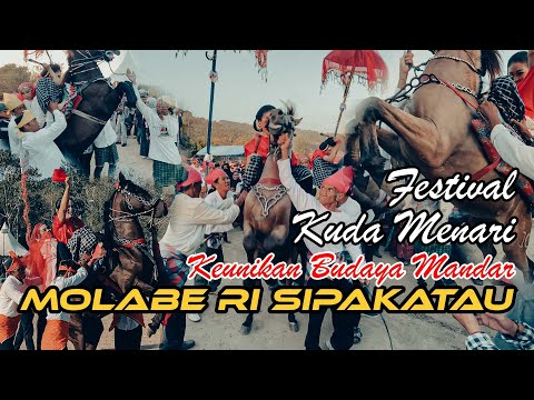 Dancing Horse || Molaberi Sipakatau 2023