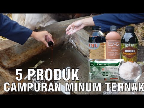 , title : 'Produk Campuran Minum Ternak Sapi'