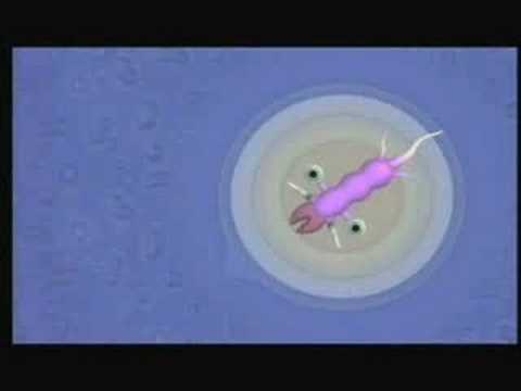 EA's E3'08 Press Conference *Part 4* 2/2