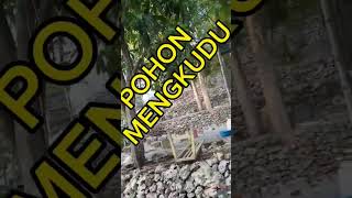 Download lagu SUNAN PRAPEN WALIYULLAH KHARISMATIK , SANG PAUS ISLAM#fahruddinzen67 ,#muiswatinchannel mp3