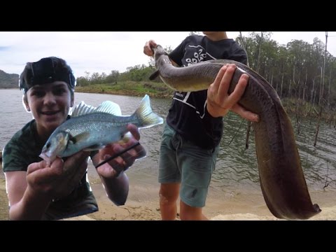 Kayak Bass Fishing - And Catching HUGE FISH! HD