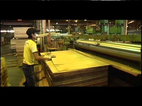 Plywoods - Timber Plywood Latest Price, Manufacturers 