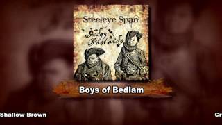 Steeleye Span Dodgy Bastards Sampler