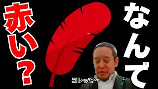 【緊急】これが赤い羽根の正体です。 外国人支援に55億の血税投入していることが判明【浜田聡 N党】