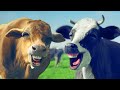 FUNNY COW DANCE 10 │ Cow Song & Cow Videos 2024