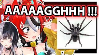 Bae Australian Instinct Kicks in Whenever She Saw Spider【Hololive】