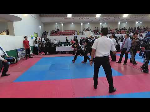 COPA BONSAI 2019(13)