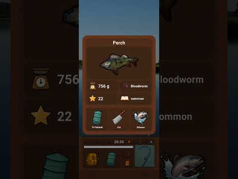 PROFishing – Fishing Simulator