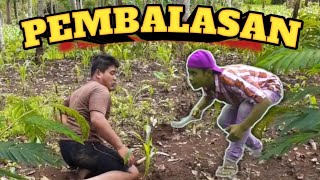 Download lagu PEMBALASAN !? CERITA KEHIDUPAN FILM PENDEK KOMEDI mp3 Download lagu PEMBALASAN !? CERITA KEHIDUPAN FILM PENDEK KOMEDI mp3