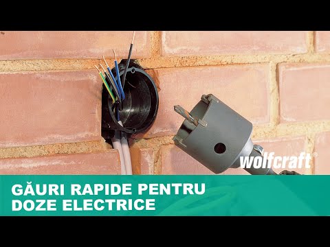 5480000-5490000_Annular-Bit-Tungsten-Carbide-Tipped-With-SDS-Plus-Mandrel_PRO_MCP_ro_2019.mp4