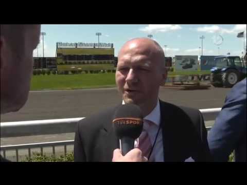 Elitloppet Playoff 2016, Bee A Magician