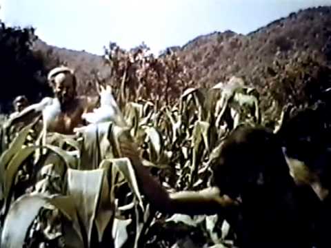 afbeelding Planet of the Apes 1968 TV trailer