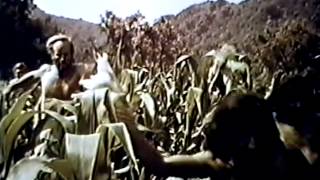 Planet of the Apes 1968 TV trailer